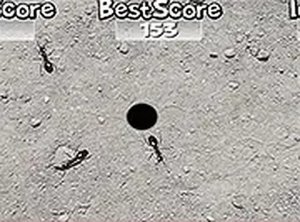Ants Destroyer Online Game