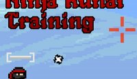 Ninja Kunai Training Online Game